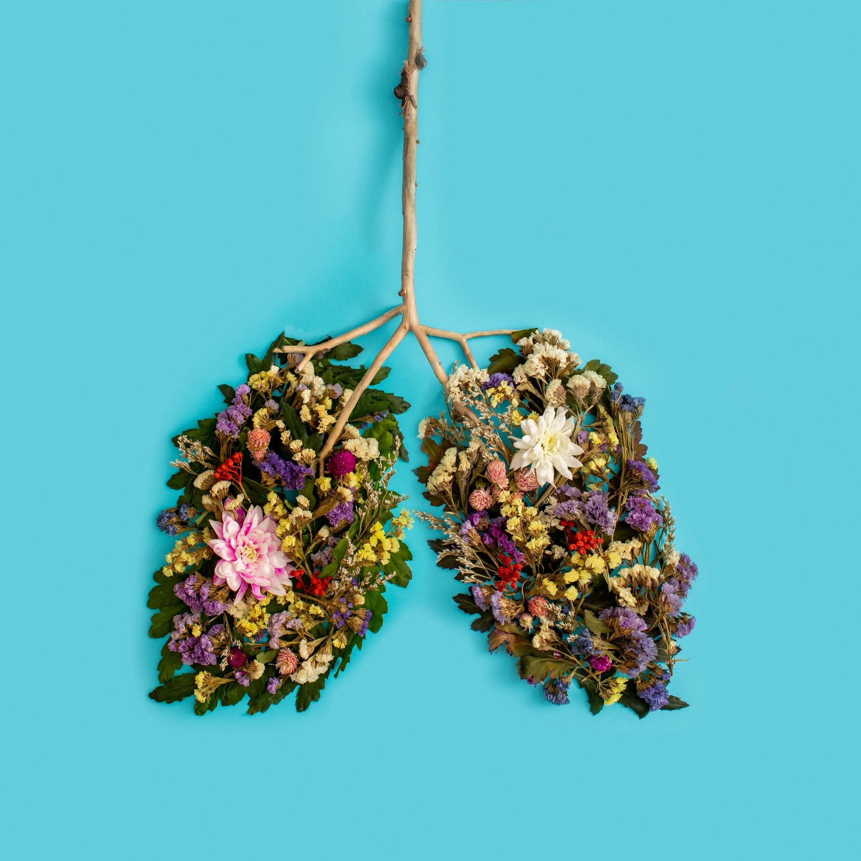 Colorful flowers arranged to form lungs on a blue background.