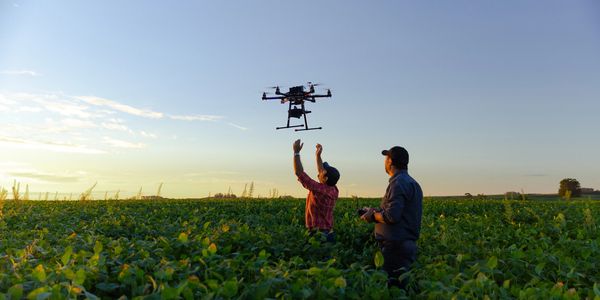 Two men operate a drone over a green crop field during sunset.