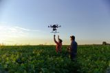 Best AI Tools for Vineyard Owners in Australia (2026)