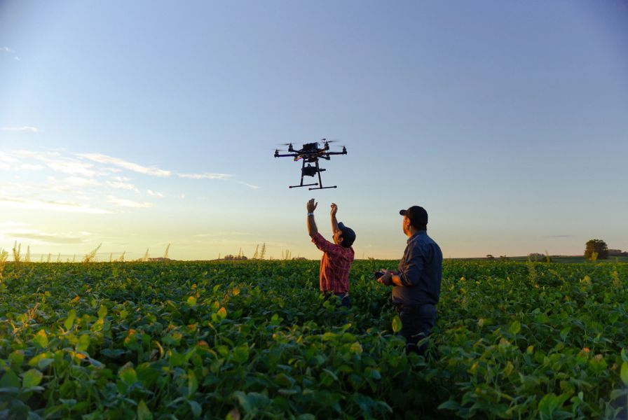 Best AI Tools for Vineyard Owners in Australia (2026)