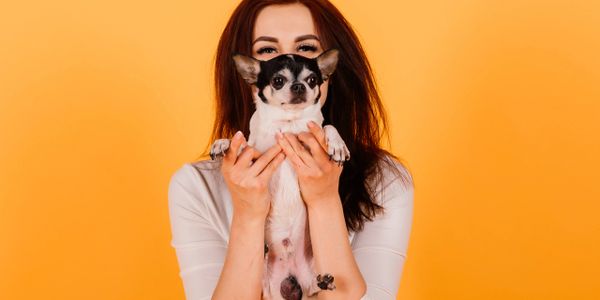 Woman holding a small black and white dog against an orange background.