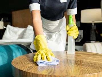 Dusting and Polishing