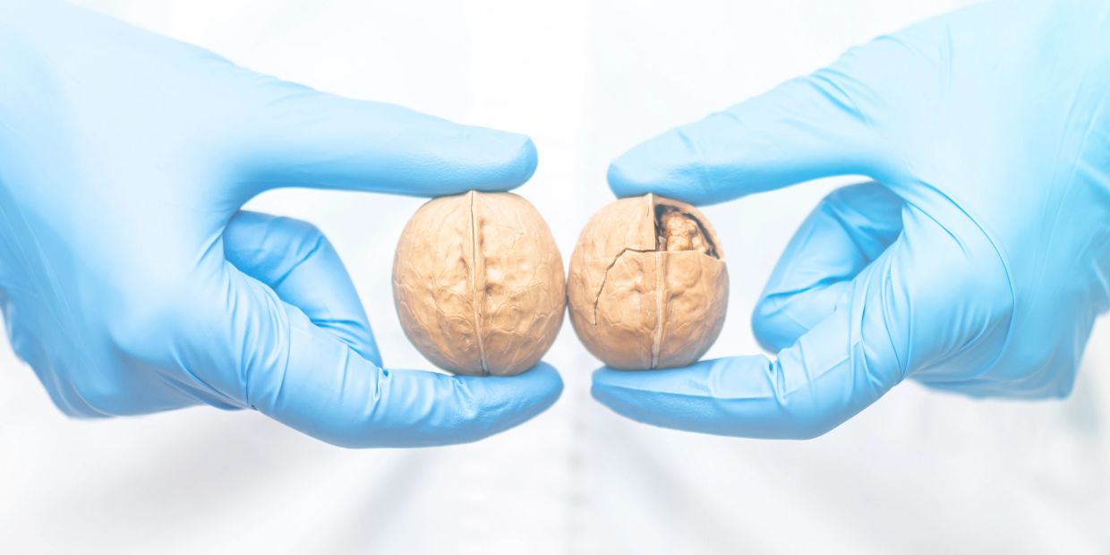 Hands in blue gloves holding two walnuts, one cracked open.