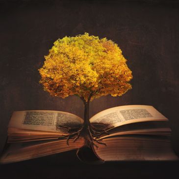 A vibrant autumn tree growing from an open book, symbolizing knowledge and growth.