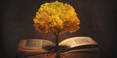 A tree growing from the Bible-symbolizing spiritual growth