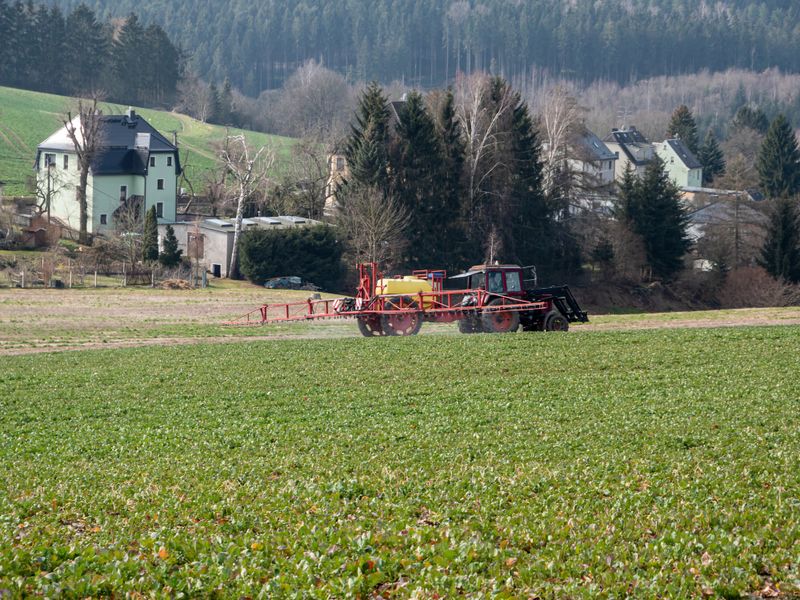 Tractor fertilizes a field in agriculture