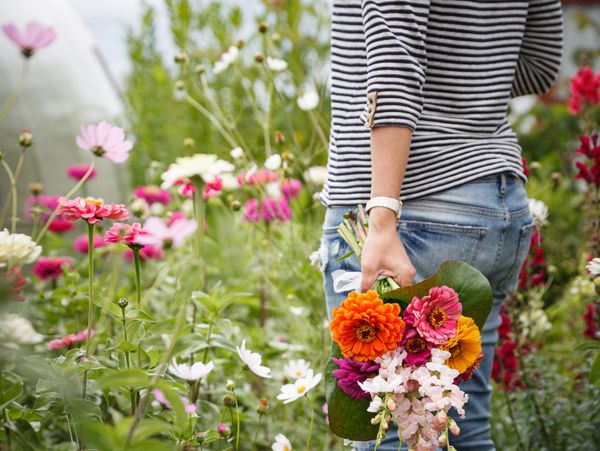 Person holding a colorful bouquet in a vibrant flower garden.