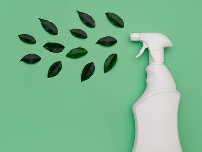 Biodegradable cleaning products spray bottle and leaves on a green background.