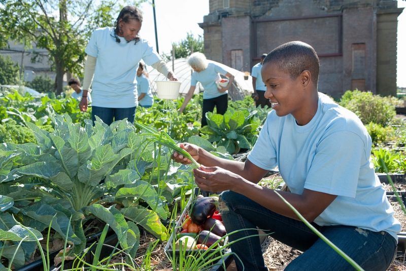 Volunteers Working in Urban Community Garden
