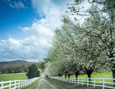 Detail-oriented property inspection by Atchley Home Inspections – Serving Spring Hill, Columbia.