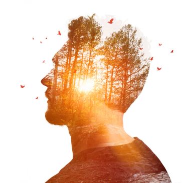 Silhouette of a man with a forest and sunlight overlay.