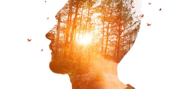 Coins, plant, and health symbols representing financial and physical wellness.