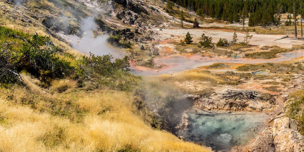 Steaming geothermal hot springs in a forested mountainous landscape.