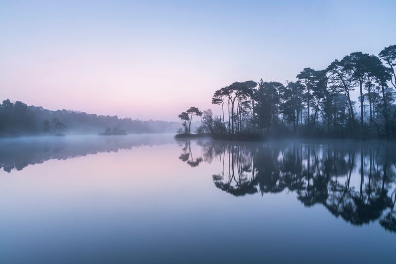 Misty pink sunrise over a lake and a row of trees in the Dutch province of Brabant