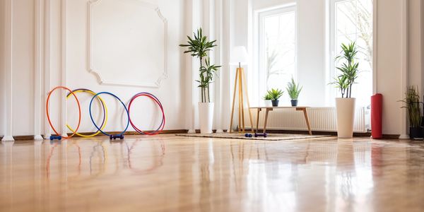 Bright room with colorful hoops and green plants by large windows.