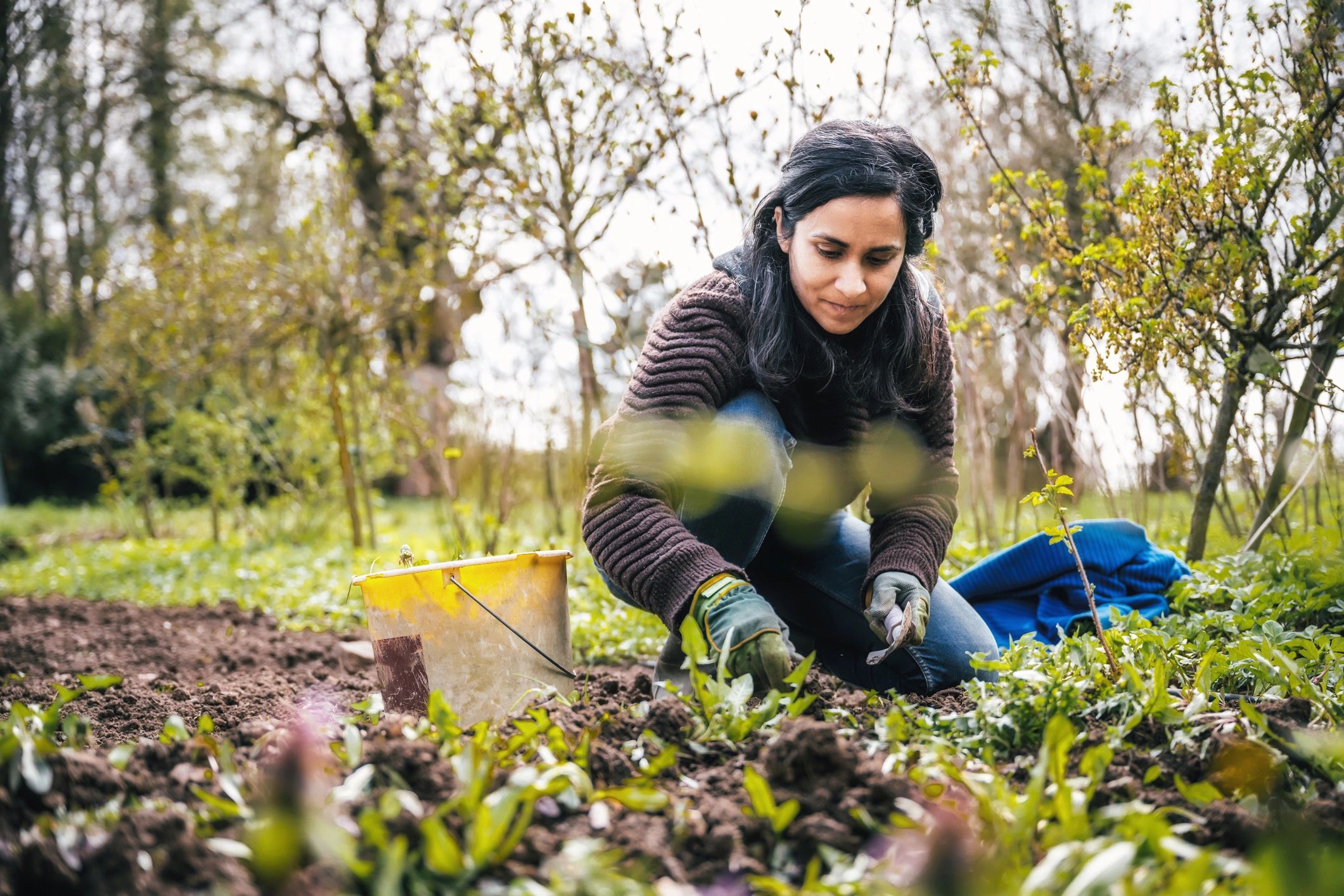 Weed-Free Flower Beds: A Season-Long Guide