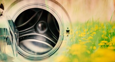 An open washing machine door with a field of yellow flowers.