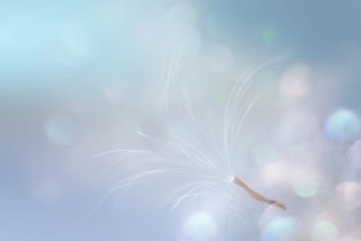 Sharon Nicholson 
Registered Member MBACP Accred

Anxiety & Overthinking Therapy Intensive