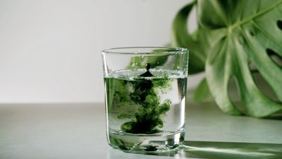 Green ink swirling in a clear glass of water with a leafy plant in the background.