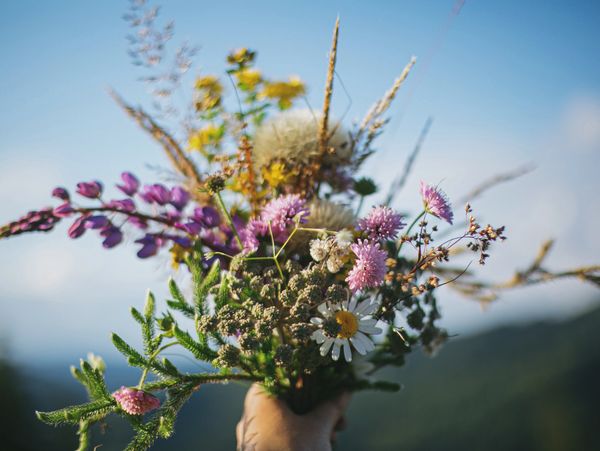 Hand holding a colorful bouquet of wildflowers against a clear blue sky.