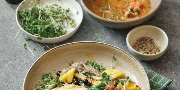 A vibrant plate of grilled chicken salad with microgreens and fruit slices.Baya Greens - Gezonde Voeding Voor Elke Dag - Microgreens - Powerfood - Culinaire Decoratie - Vers en gezond - Sprouts
