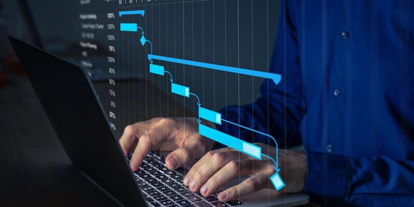 planning and reporting on project status.