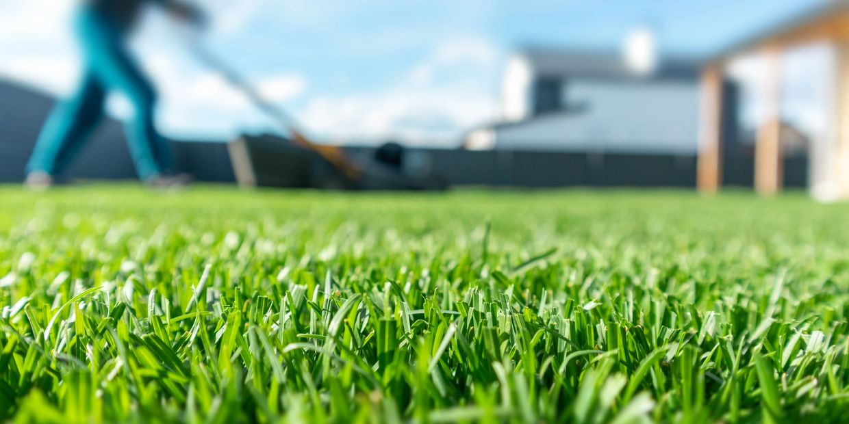 BluCrew providing weekly lawn service in Temecula, trusted landscapers in your neighborhood.