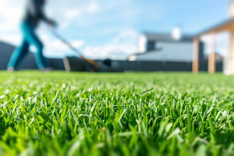 Spring season sunny lawn mowing in the garden. Lawn blur with soft light for background. Selective focus