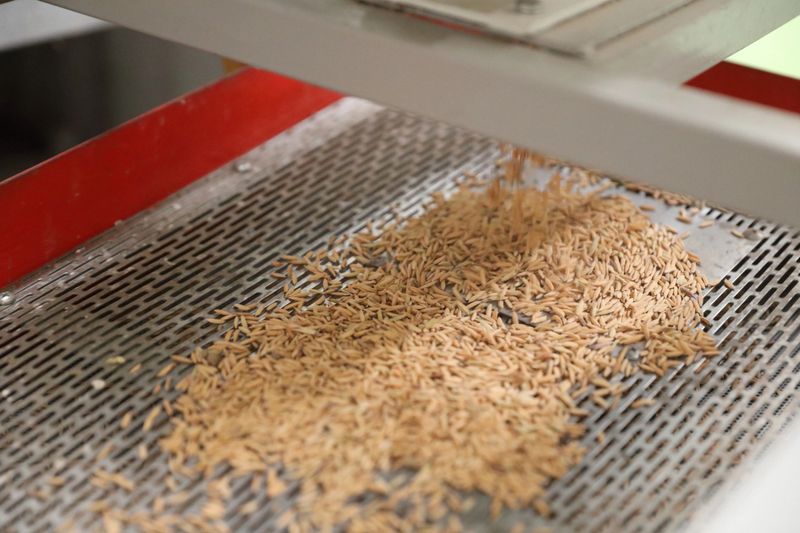 Factory machine Milling rice in close up
