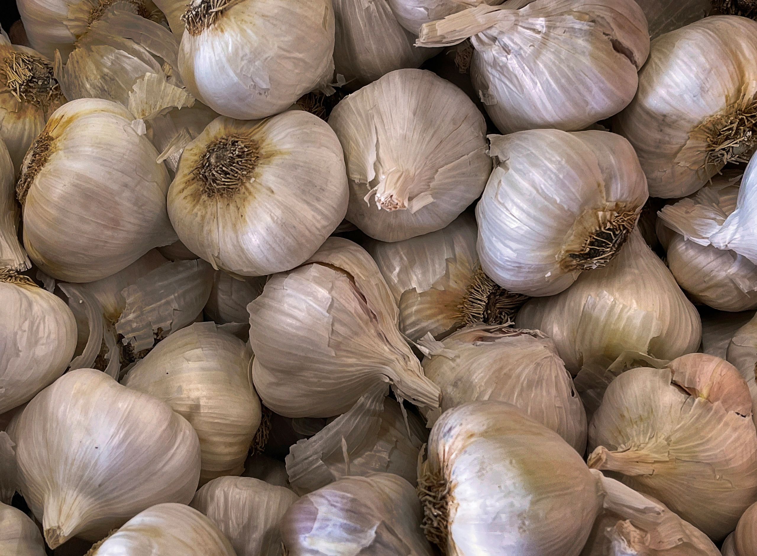 Fresh Local Finds on Long Island