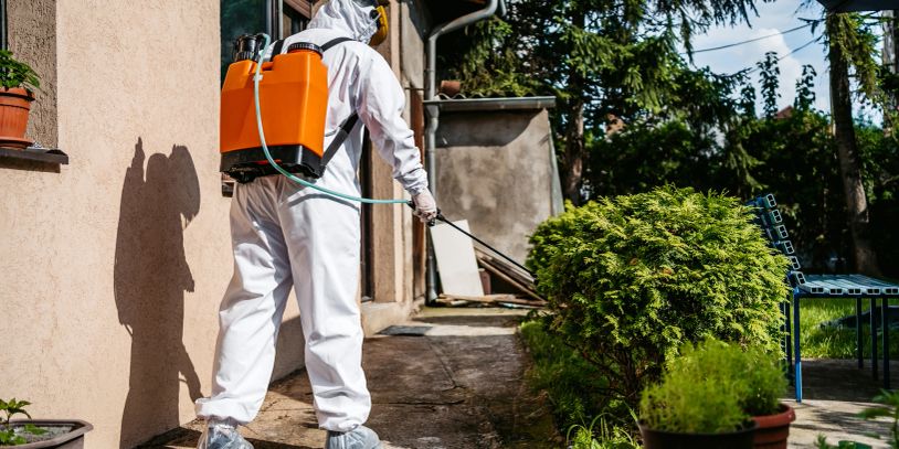 Person in protective suit spraying plants outdoors.