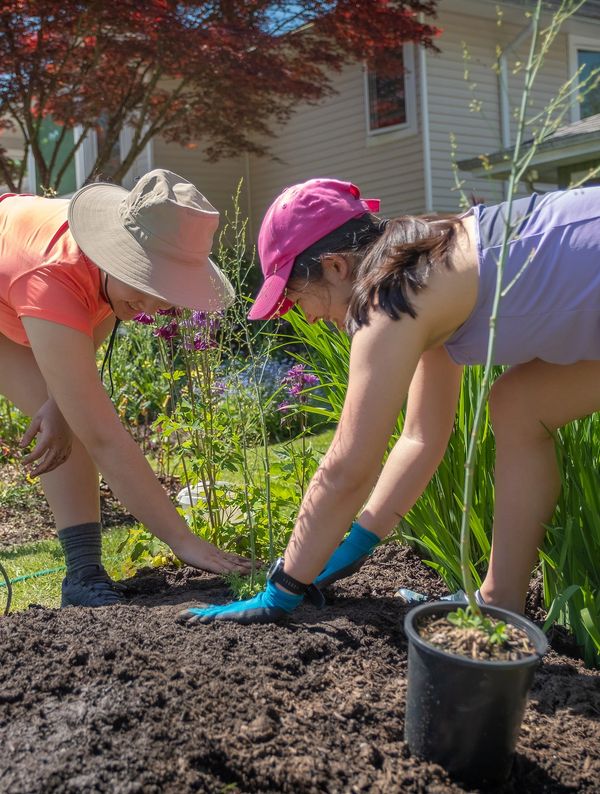 Two women gardening together on a sunny day.
