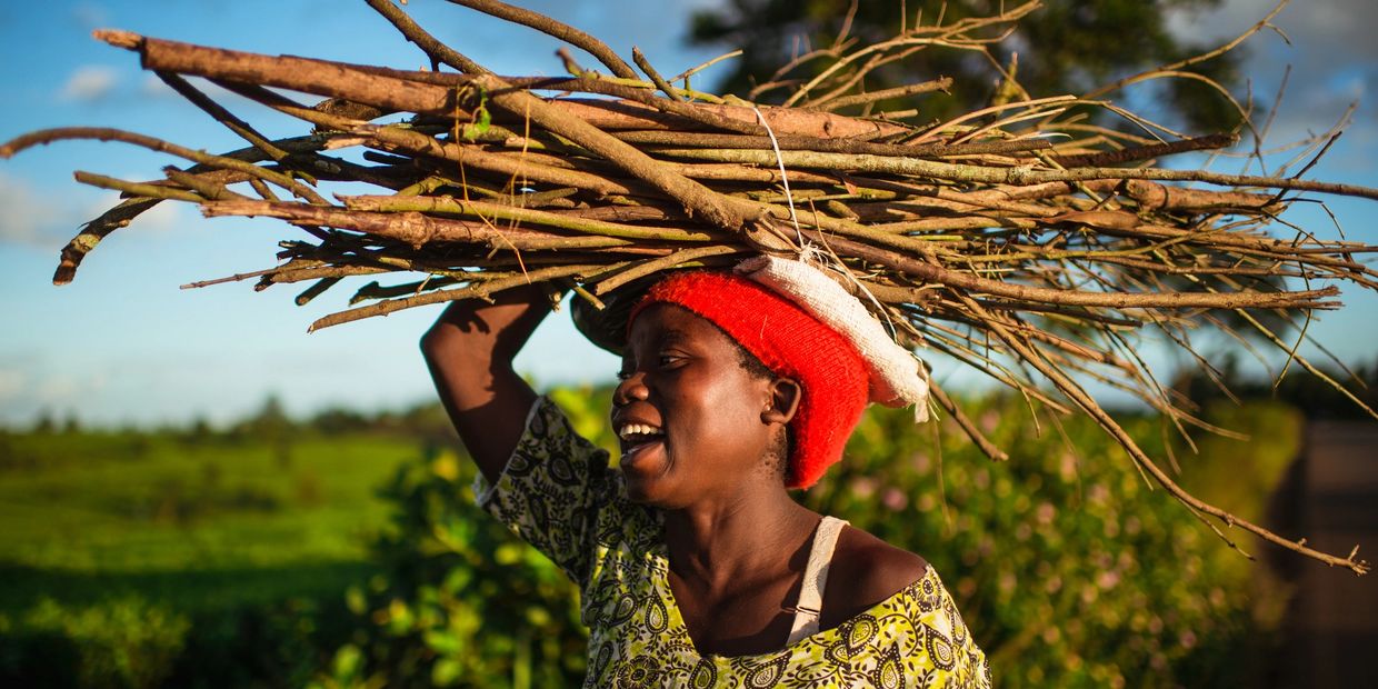 A woman joyfully carries a bundle of sticks on her head in a lush outdoor setting.