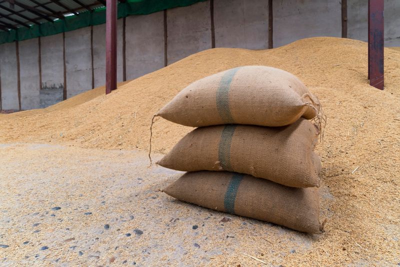 Rice in a sack that is in a warehouse for storing rice. Canvas bags stacked in a pile.