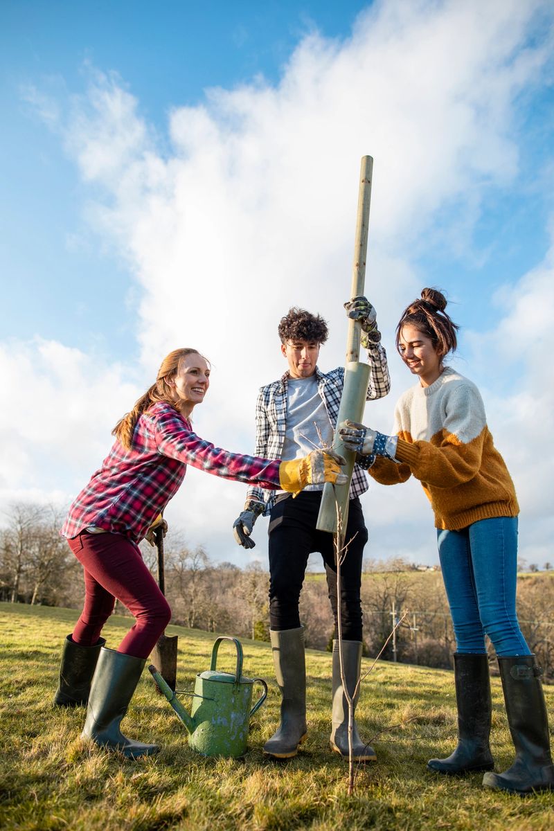 A mother with her two children in the North East of England on a grass area in a non urban area, they are planting a tree together. They are using gardening tools and plastic, to protect the new tree.