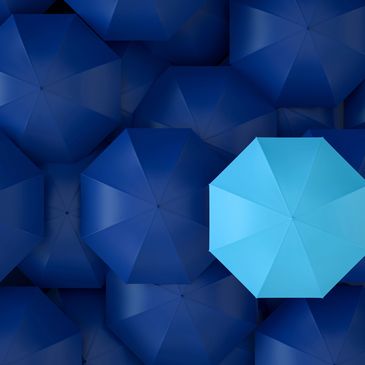 One light blue umbrella stands out among many dark blue umbrellas.