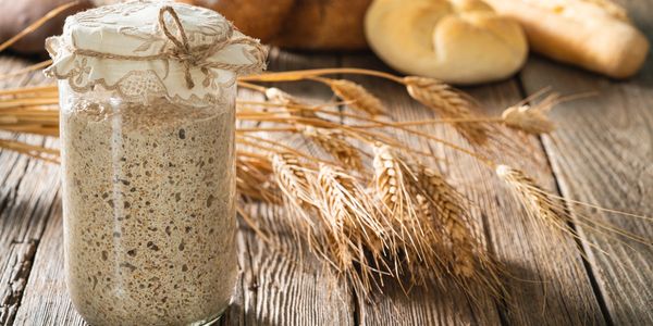 Jar of sourdough starter with various breads and wheat on rustic wooden table.