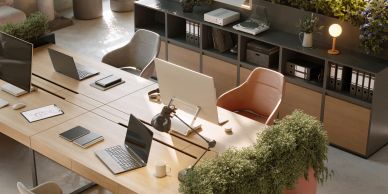 Modern office workspace with laptops and plants on a wooden table.