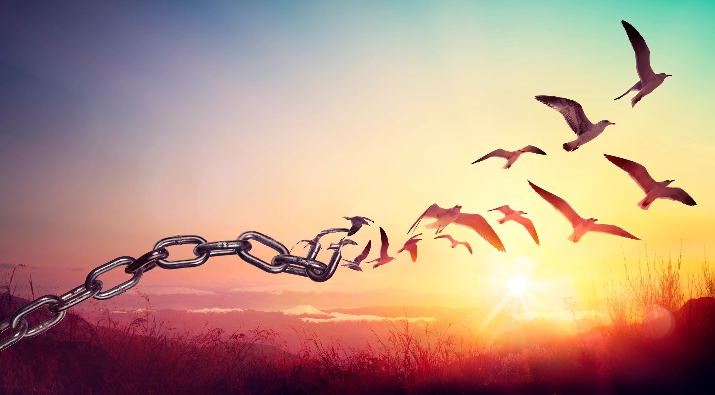 Broken chain becoming birds, representing trauma healing and emotional release
