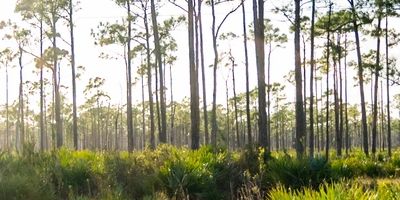 Electrician serving Pinecrest, FL — Legacy Electrical Contractors
