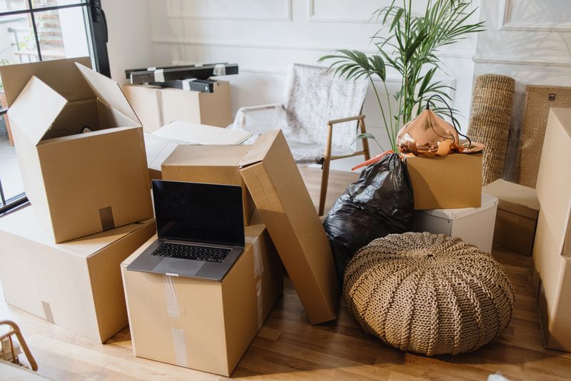 Moving in/out concepts. Cardboard boxes stacked in empty room with plants and personal belongings inside, moving or relocation concept