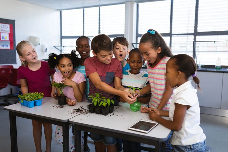 science kids around table in awe of plant