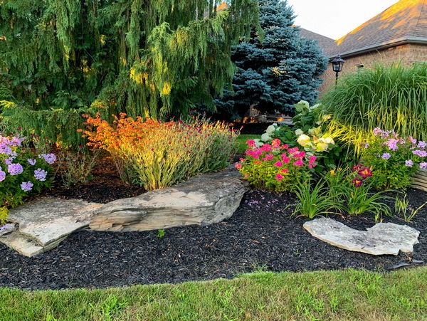 A colorful garden bed with flowers, large rocks, and lush greenery near a house.