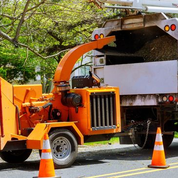 Orange wood chipper feeding debris into a truck on a tree-lined street.