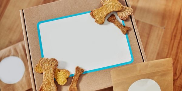 Healthy Dog Treats