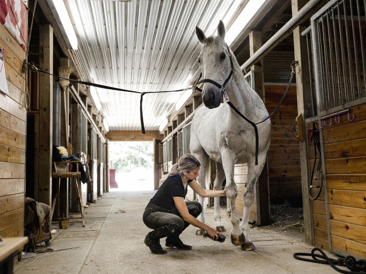 Students engage in horse-led activities to boost confidence, communication, and leadership.