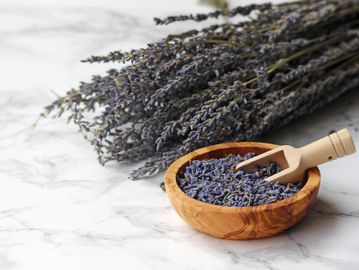 Dried lavender flowers in a wooden bowl with a scoop beside a bundle of lavender sprigs.