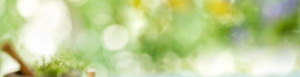 A selection of calming essential oils