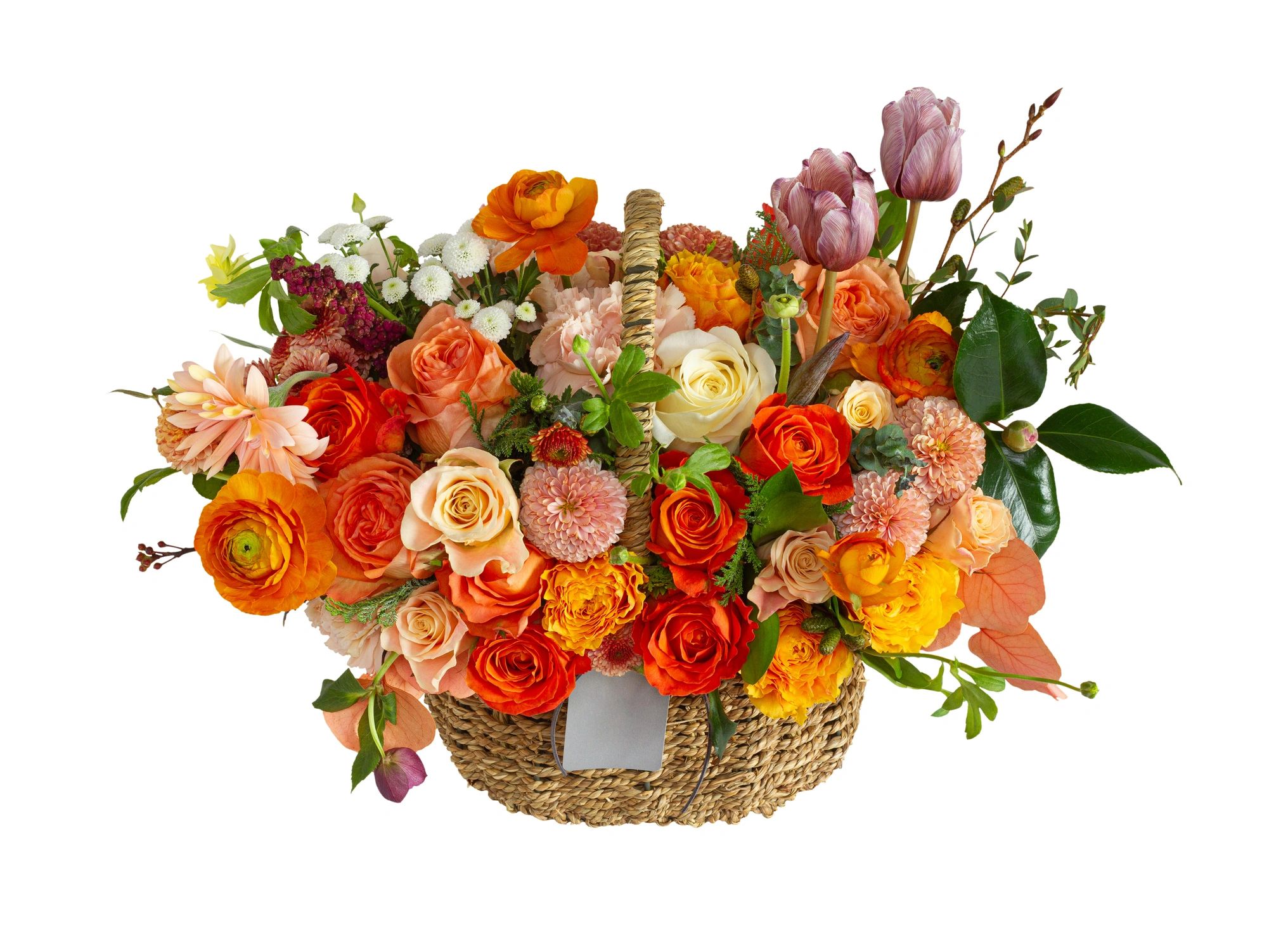 The Export Basket team collaborating