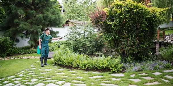 Gardener sprays plants in a lush garden.